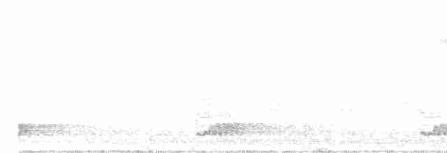 Каролинский крапивник - ML152809641