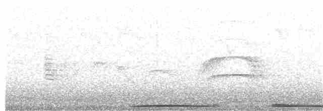 Küpeli Kumru - ML152821151