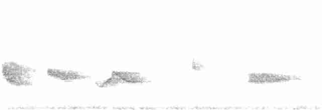 Чернокрылая пиранга - ML152834221