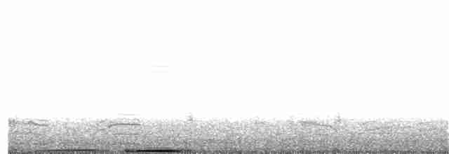 אנפה משורטטת - ML152853011