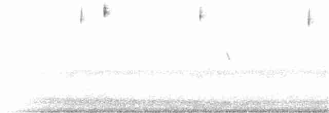 Ґоріон каліфорнійський (підвид belli) - ML152930021