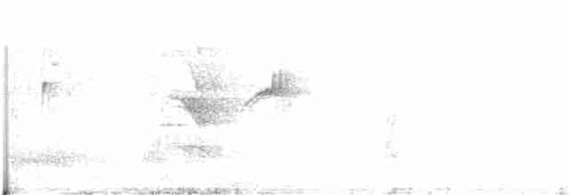 Большеклювая ворона - ML152940551