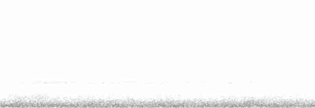 Белокрылая курочка-малютка - ML152957401
