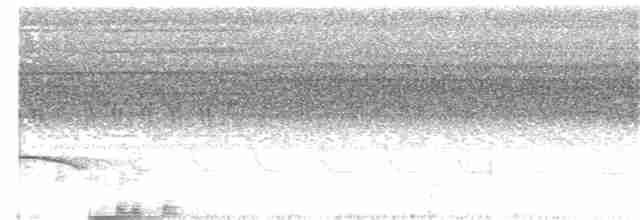 Puff-throated Babbler - ML152969171