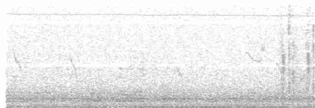 Кропив’янка біловуса - ML152973901