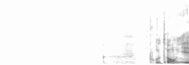 Gray Nightjar - ML153061091
