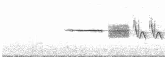 Dachsammer (pugetensis) - ML153068241