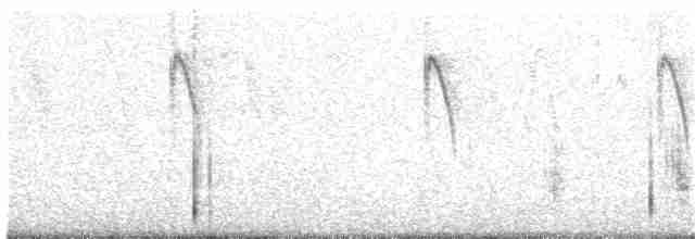 Great Reed Warbler - ML153104821