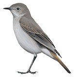 Sombre Rock Chat Illustration