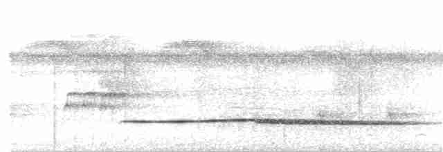 Little Tinamou - ML153243521