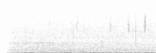 Colibri sombre - ML153251061