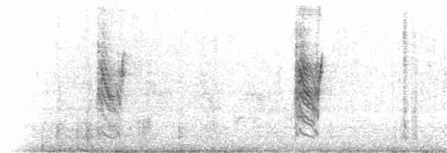 Beyaz Gerdanlı Tovi - ML153252591