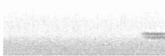 Turuncu Ardıç - ML153255831