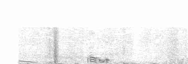 Gallo de las Praderas Rabudo - ML153258481
