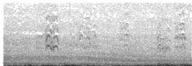 Sandwich Tern (Cabot's) - ML153282521