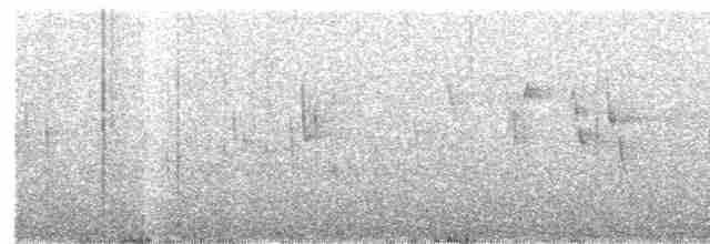 Hirondelle à ceinture blanche - ML153302081