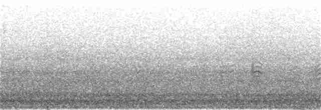 Gabai arrea (borealis) - ML153353361