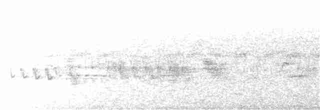 Western Orphean Warbler - ML153364411