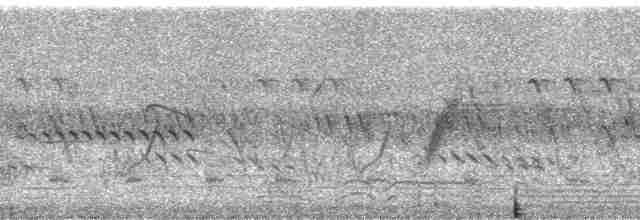 hjelmperlehøne (meleagris/somaliensis) - ML1534