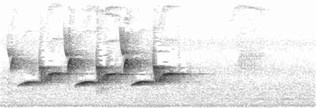 Karolina Çıtkuşu - ML153597361