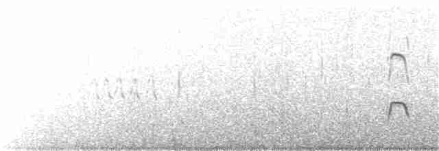 Длинноклювый кулик-сорока - ML153684251