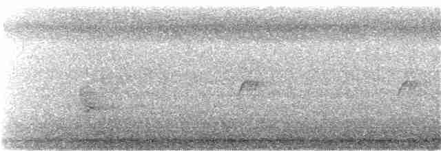 Личинкоїд сірий - ML153744091