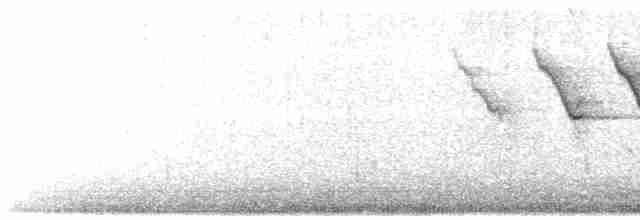Трясогузковый певун - ML153815971