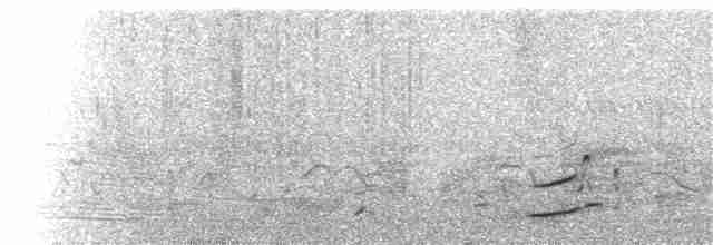potápka černokrká - ML153837491