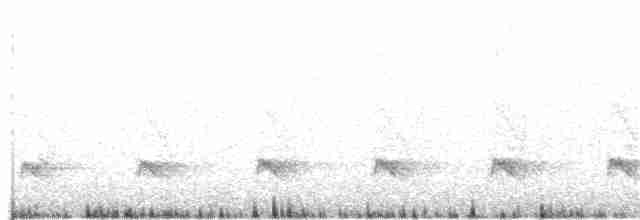 Chatham Islands Snipe - ML153841291