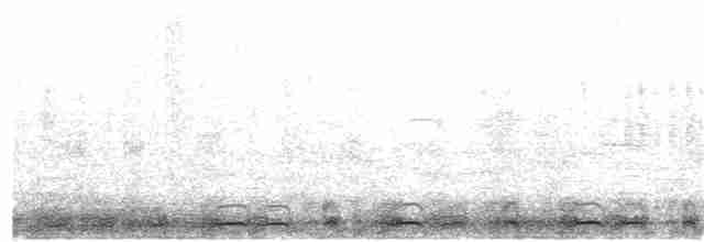 Пріон широкодзьобий - ML153842451