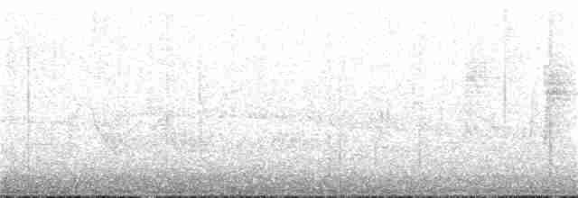 Black-crested Warbler - ML153843031