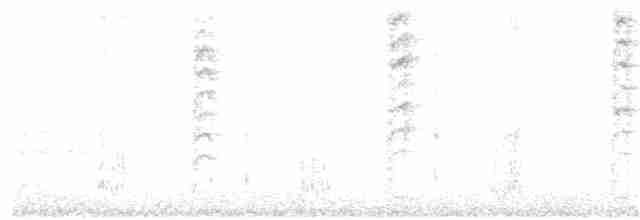 Новозеландская веерохвостка - ML153845811