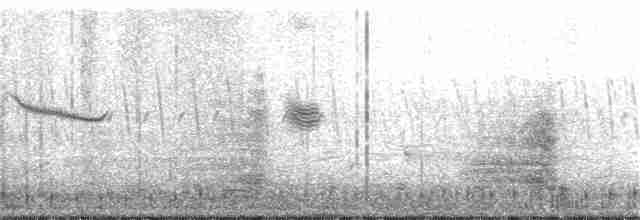 裏海燕鷗 - ML153855501