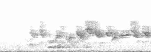 Кропив’янка чорноголова - ML153883301