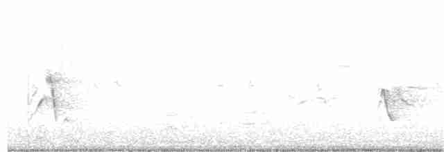 Plumbeous Vireo - ML153893111