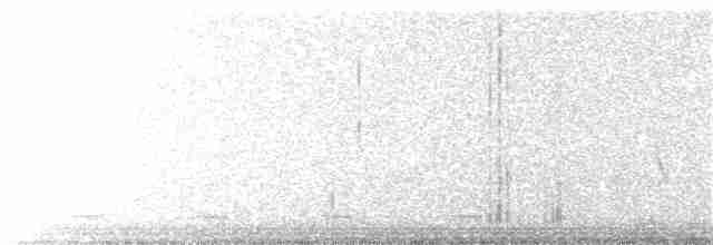 Ґоріон невадійський - ML153895241
