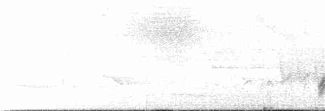 Weißkehldrossel - ML153897831