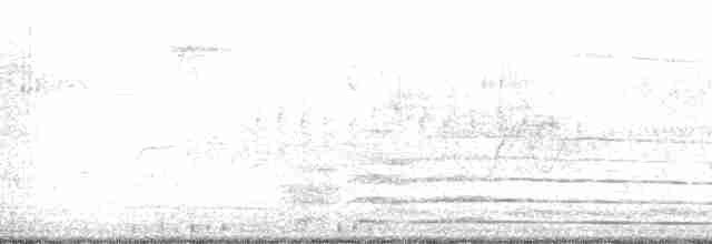 Hudson Körfezi Serçesi - ML15391