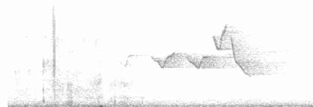 Hooded Warbler - ML153938381