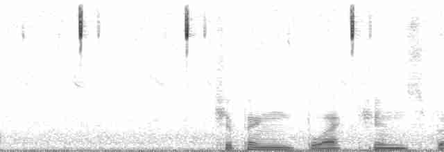 Карнатка чорногорла - ML15397