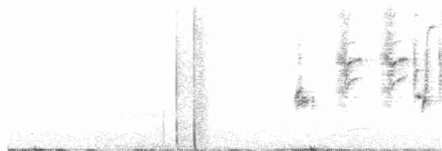 Bewick Çıtkuşu - ML153992991