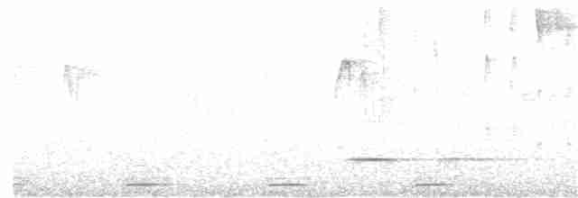 Toucan Barbet - ML154016841