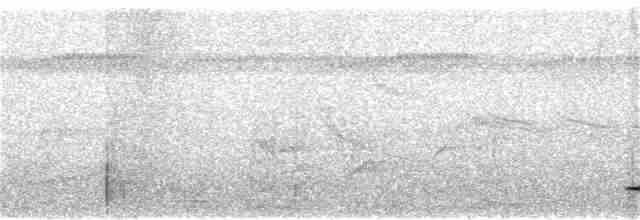 Thicket Tinamou (cinnamomeus Group) - ML154025381