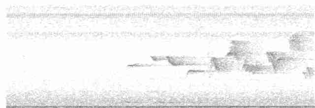 Sperlingsvogel, unbestimmt - ML154048071