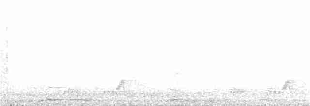 Mexikonachtschwalbe - ML154103841