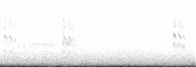 Little Tern - ML154113911