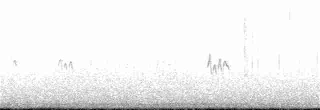 Bar-tailed Godwit - ML154114541