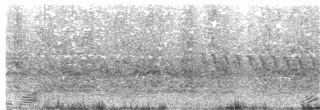 Мексиканская аратинга (holochlorus/brewsteri) - ML154157231
