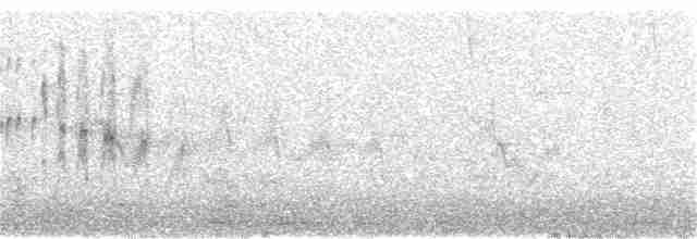 rorýs bělohrdlý - ML154207231