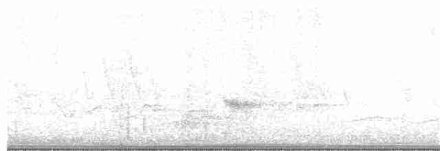 Kentucky Warbler - ML154379001